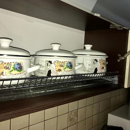 Large Apartment In The City Center Mukacheve Ngoại thất bức ảnh